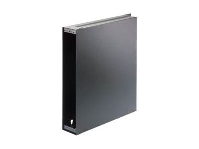 Picture of 2U Wall Rack Mount Box