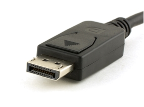 Picture for category DisplayPort Cables