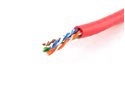 Picture for category Cat5e Cable - Solid Plenum