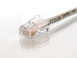 Picture of CAT5e Patch Cable - 4 FT, Gray, Assembled