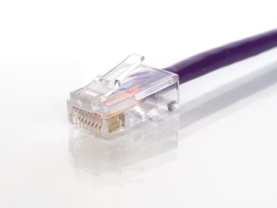 Picture of CAT5e Patch Cable - 2 FT, Purple, Assembled