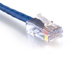 Picture of Cat 6 Ethernet Patch Cable - 2 FT, Blue, Assembled