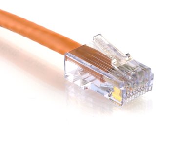 Picture of Cat 6 Ethernet Patch Cable - 1 FT, Orange, Assembled