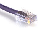 Picture of Cat 6 Ethernet Patch Cable - 2 FT, Purple, Assembled