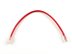 Picture of Cat 6 Ethernet Patch Cable - 1 FT, Red, Assembled - 1 of 2