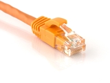 Picture of Cat 6 Ethernet Patch Cable - 1 FT, Orange, Booted