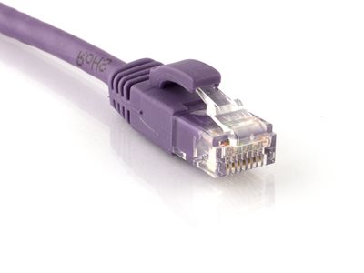 Picture of Cat 6 Ethernet Patch Cable - 1 FT, Purple, Booted