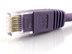 Picture of Cat 6 Ethernet Patch Cable - 1 FT, Purple, Booted - 1 of 3