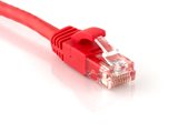 Picture of Cat 6 Ethernet Patch Cable - 1 FT, Red, Booted