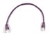 Picture of Cat 6 Ethernet Patch Cable - 1 FT, Purple, Booted - 2 of 3