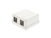 Picture of 2 Port Surface Mount Box - White - 0 of 8