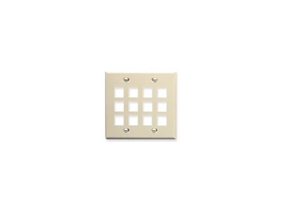 Picture of Faceplate Flat 2-gang 12-port Almond