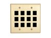 Picture of 12 Port Keystone Faceplate - Dual Gang - Ivory