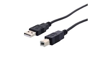 Picture of USB 2.0 Cable A to B M/M - 6 FT