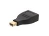 Picture of DisplayPort female to mini DisplayPort male