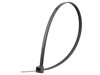 Picture of 11 7/8 Inch Black UV Standard Nylon Cable Tie - 100 Pack