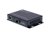 Picture of 10 Gigabit Fiber Media Converter - Open SFP Slot, 10GBase-T, Singlemode or Multimode