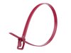 Picture of 24 Inch 120 Lbs Plenum Cranberry Releasable/Reusable Cable Tie - 100 Pack