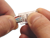 Insert the conductors into the cat6 connector